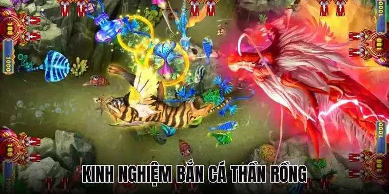 Cách Chơi Bắn Cá Rồng W88 Thú Vị Dành Cho Người Mới Chơi 2 Cách Chơi Bắn Cá Rồng W88 Thú Vị Dành Cho Người Mới Chơi
