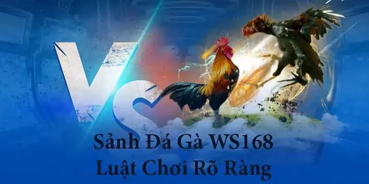 Hướng Dẫn Cách Chơi Đá Gà WS168 Tại W88 Dễ Thắng Cho Người Mới 2 Hướng Dẫn Cách Chơi Đá Gà WS168 Tại W88 Dễ Thắng Cho Người Mới