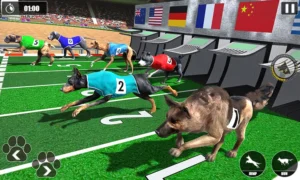Cách Chơi Game Nhanh Đua Chó Tại W88 Để Thắng Lớn Mỗi Ngày